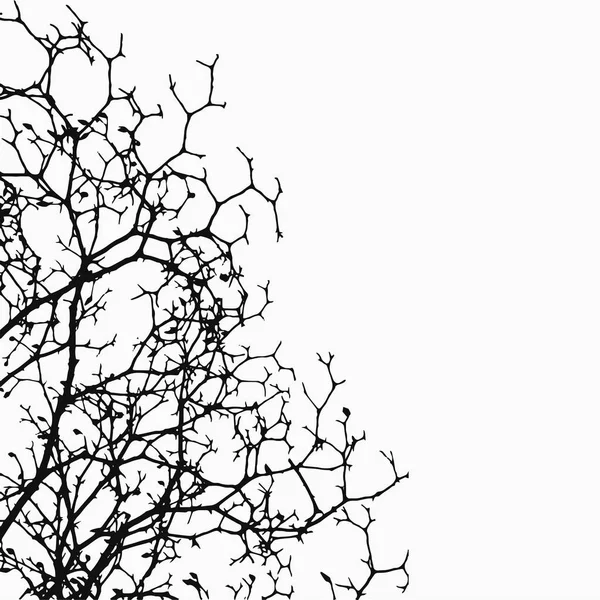 doku, arka plan, ağaç dalları siluet vektör