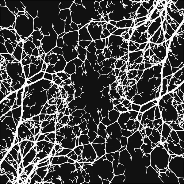 dalları, vektör arka plan, tasarım öğesi, yaratıcı desen doku,