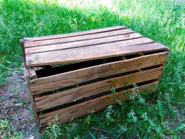 Trälåda, Box på gräset — Stockfoto