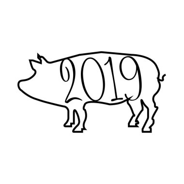  domuz 2019 yılı. 