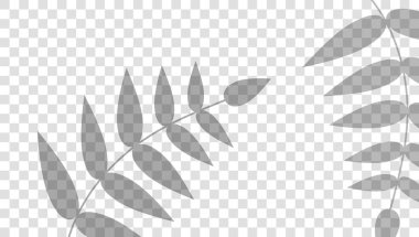 Gölge Kaplama Efekti.