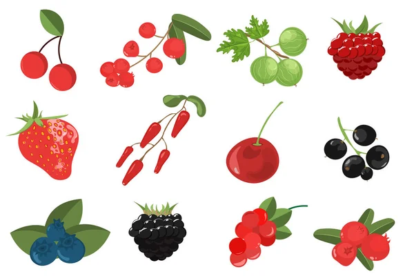 Berry Set. Forest berry. — Stock Vector