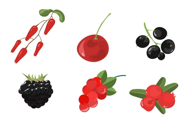 Berry Set. Forest berry. — Stock Vector