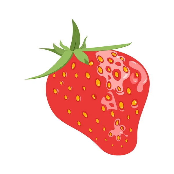 Ripe juicy strawberries. — Stock Vector