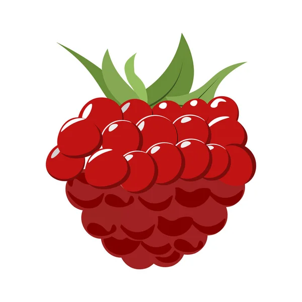 Raspberry with leaf — Stock Vector
