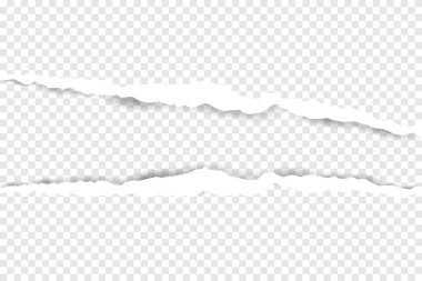 beyaz yırtık kağıt