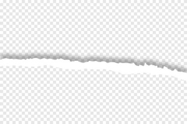 beyaz yırtık kağıt