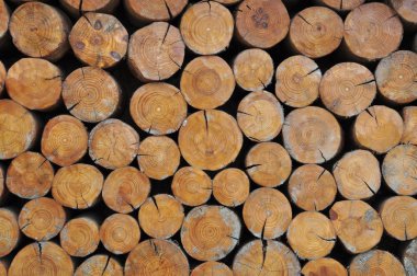 Arkaplan olarak ahşap doku