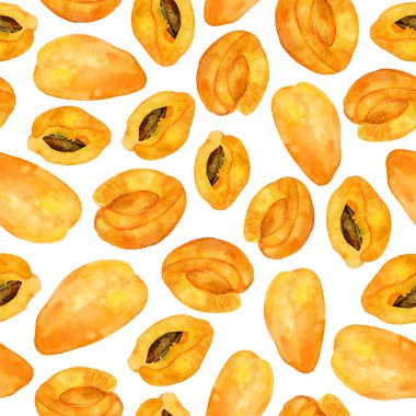 Beyaz zemin üzerine suluboya kayısı seamless modeli. Dekor ve tasarım için sonsuz doku.