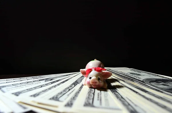 Dolar üzerinde Noel domuzla siyah bir zemin üzerine dekoratif bir Noel ağacı