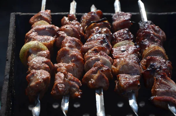 Sulu domuz eti şiş kebap ızgara