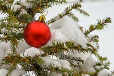 Bir Noel ağacı karla kaplı dalları üzerinde kırmızı önemsiz şey