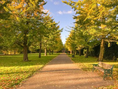 Cardiff, Galler - Ekim 2018: Sonbahar renkleri, Cardiff şehir merkezinde Bute Park ağaçlı yol üzerinde.