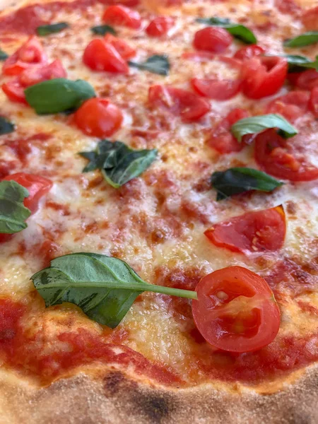 Peynirli pizza domates ve taze fesleğen ile görünümünü kapat