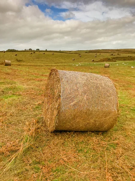 Large bale of hay on a field