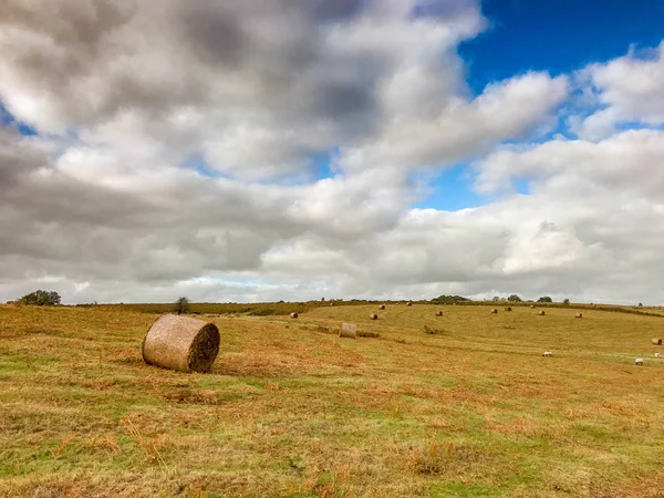 Large bales of hay on a field with bracken on the ground and dark clouds in the sky