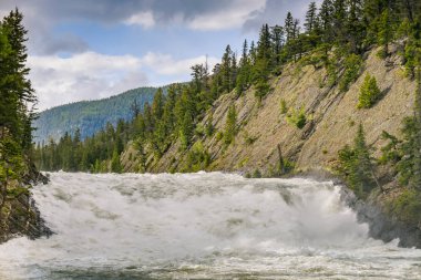 Banff, Ab, Kanada - Haziran 2018: Manzaralı yay River Falls Banff içinde.