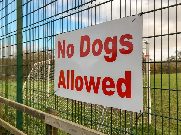 Dogmaels Pembrokeshire Walii Listopada 2018 Duży Nie Psy Dozwolone Znak — Zdjęcie stockowe
