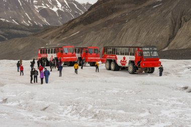 Columbia Icefield, Alberta, Kanada - Haziran 2018: Alberta, Kanada işleminden şekilde yararlanmak Athabasca buzul Columbia Icefield içinde bir büyük altı tekerlekli amaca uygun yapılmış araç turist.