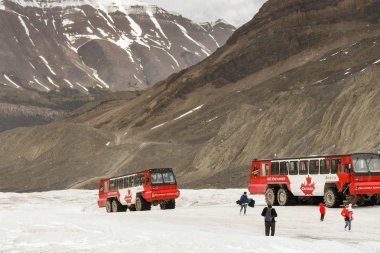 Columbia Icefield, Alberta, Kanada - Haziran 2018: Büyük altı Columbia Icefield Alberta, Kanada Turist Athabasca buzul üzerine almak amaca uygun yapılmış araçların tekerlek.