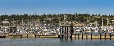 Bremerton, Washington State, Amerika Birleşik Devletleri - Haziran 2018: Bremerton, Wa Harbor'da panoramik manzarasını.