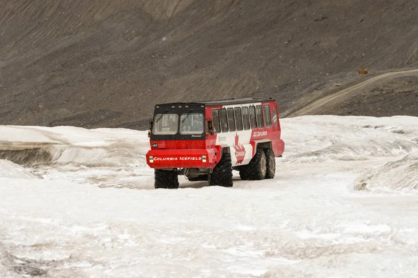 Columbia Icefield Alberta Canada Juni 2018 Ein Massives Sechsrädriges Fahrzeug — Stockfoto