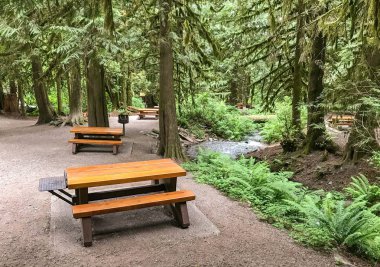 Rosedale, Kanada - Haziran 2018: gelin Veil Falls Eyalet Parkı ziyaret için sağlanan piknik masaları