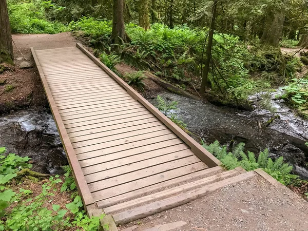 Rosedale Canada Juni 2018 Houten Brug Een Stroom Die Door — Stockfoto