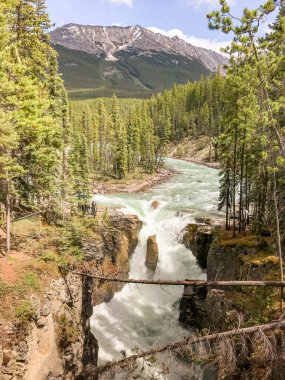 Alberta, Kanada - Haziran 2018: Alberta, Kanada 'da Sunwapta Şelalesi.