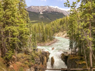 Alberta, Kanada - Haziran 2018: Alberta, Kanada 'da Sunwapta Şelalesi.