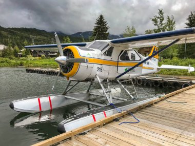 Whistler, Bc, Kanada - Haziran 2018: Deniz uçağını Whistler terminal iskeleye, liman Air tarafından işletilir De Havilland Dhc 2 Beaver uçak bağladı.