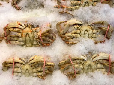 Seattle, Wa, Amerika Birleşik Devletleri - Haziran 2018: Pike Place Market Seattle buz üzerinde taze yengeç.