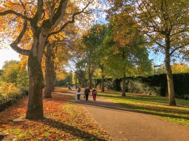 Cardiff, Galler - Ekim 2018: sonbahar renkleri ağaçlarda ve yere yapraklarda ile Cardiff city Bute parkta yürürken insanlar Merkezi.