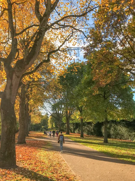 Cardiff Wales Outubro 2018 Pessoa Caminhando Pelo Bute Park Centro — Fotografia de Stock