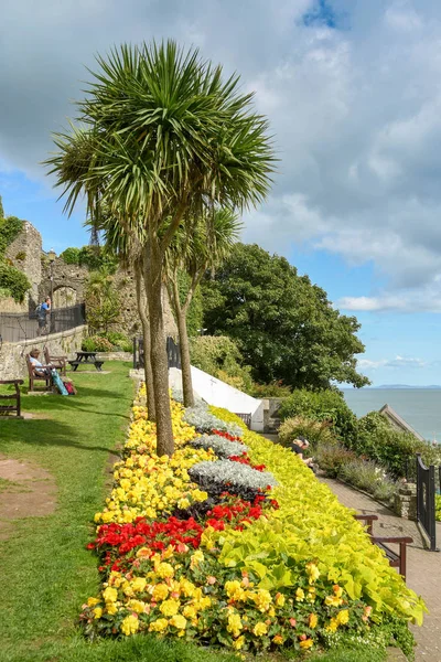 Tenby Pembrokeshire Wales Augustus 2018 Kleine Tuin Met Bloemperken Palmbomen — Stockfoto
