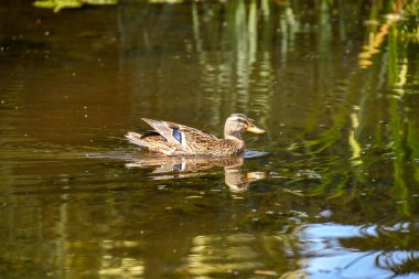 Galler Cardiff Galler'in Havaalanı terminal binası tabelada hoş geldiniz. Qatar airways uçak iniş sonra terminale Taksilemek