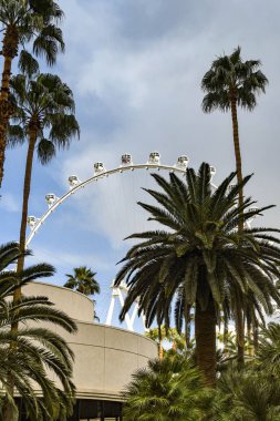 Las Vegas, Nevada - Şubat 2019: Geniş görüş açısı kapsül binen High Roller dev tekerlek Las Vegas Flamingo Hotel bahçesinde plam ağaçların arkasında. Tekerlek bir dönüm noktası ve turistik cazibe olduğunu.