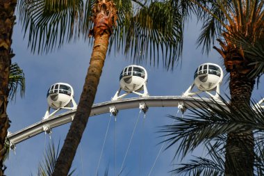 Las Vegas, Nevada - Şubat 2019: Mavi gökyüzü palmiye ağaçları tarafından çerçeveli manzaralı karşı yüksek silindir dev dönme dolap binen kapsül.