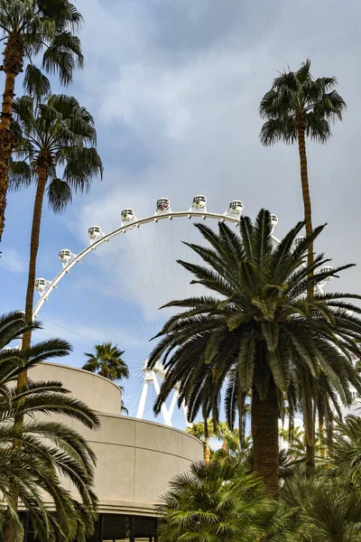 Las Vegas Nevada มภาพ 2019 มมองกว างของแคปซ ลในการน ในลาสเวก สหล — ภาพถ่ายสต็อก