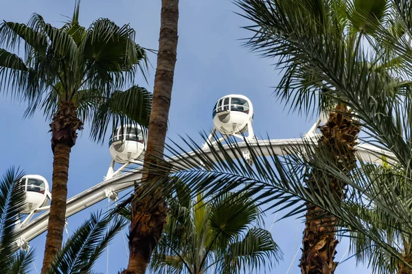 Las Vegas Nevada Febrero 2019 Cápsula Paseo Noria Gigante High — Foto de Stock