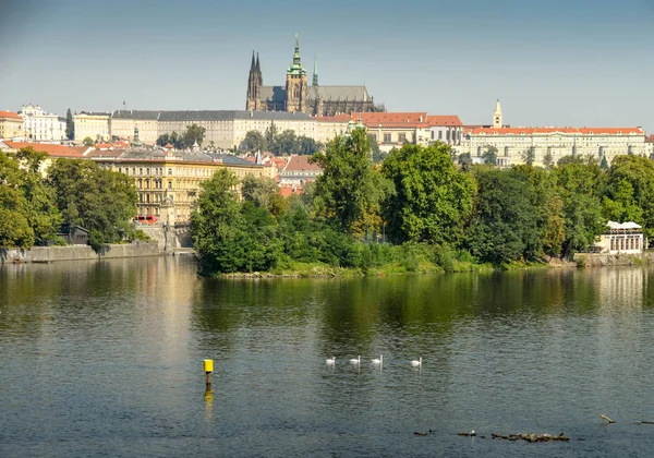 Praga Czechy 2018 Sierpnia Katedra Vitas Pradze Wełtawą Pierwszym Planie — Zdjęcie stockowe