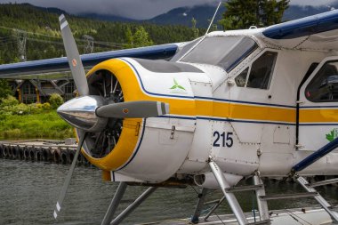 Whistler, BC, Kanada-Haziran 2018: Harbor Air tarafından işletilen de Havilland Beaver deniz uçağı yakın yukarı Whistler deniz uçağı terminalinde bağlı.