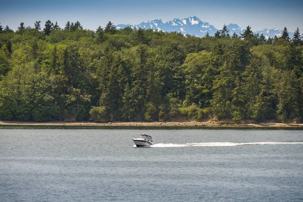 Bremerton Washington State Usa Giugno 2018 Veduta Panoramica Una Piccola — Foto Stock