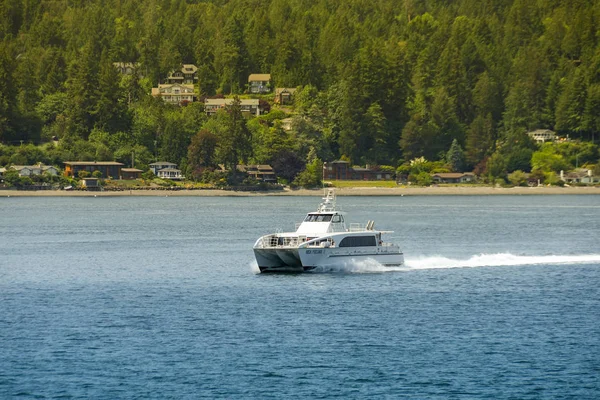 Seattle Washington State Sua Iunie 2018 Feribotul Pasageri Mare Viteză — Fotografie, imagine de stoc