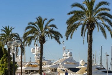 Palmiye ağaçlarının arkasında Cannes limanında Süper yatlar