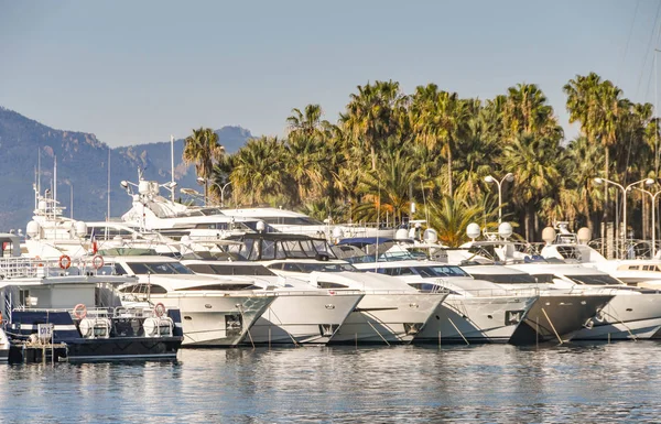 Superyachts alignés dans le port de Cannes — Photo