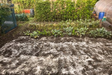 Cardiff, Galler - Mart 2018: Toprak kazılmış ve gübre yayılmış tahsis bahçe 