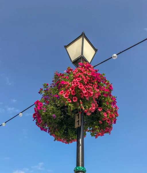 Penarth, Vale Of Glamorgan - Ağustos 2018: Penarth, Galler'de geleneksel tarzda bir sokak lambasında kırmızı çiçeklerle dolup taşan renkli sepet.
