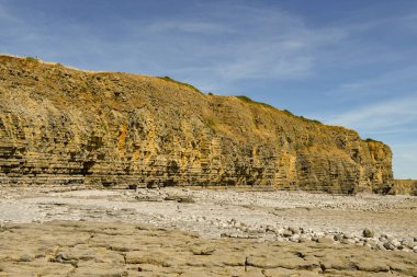 Llantwit Major, Galler - Temmuz 2018: Güney Galler'deki Llantwit Major'daki kayalıkların kayalık yüzü. Sahilde birçok Jurassic fosili bulundu..
