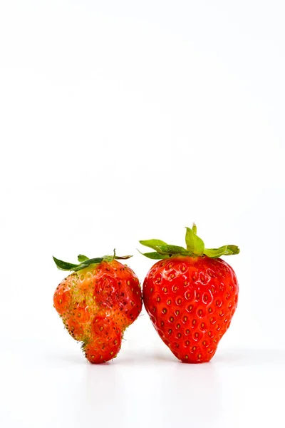 Närbild Två Jordgubbar Sida Vid Sida Till Vänster Missbildad Frukt — Stockfoto